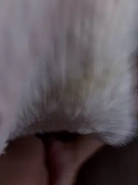 erokami36 online show from 5, 2, 2026