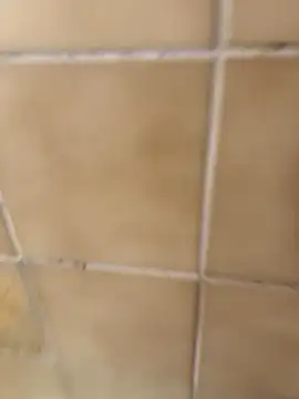 Snapshot of escobryuf chatting on 9, 1, 2026 escobryuf online show from 9, 1, 2026