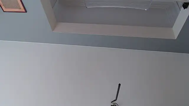 knodli online show from 21, 10, 2025