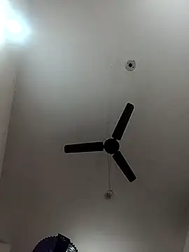 Appypie online show from 3, 11, 2025