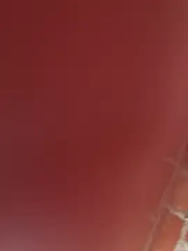 Snapshot of RAKEL37 chatting on 23, 11, 2025 RAKEL37 online show from 23, 11, 2025