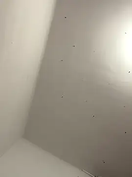 Snapshot of davidxxx099 chatting on 22, 11, 2025 davidxxx099 online show from 22, 11, 2025