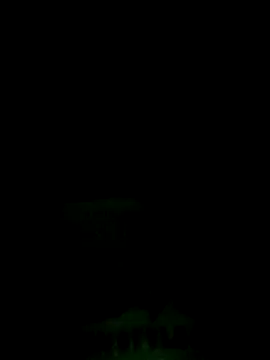 Snapshot of Lisa_pusy chatting on 15, 9, 2025 Lisa pusy online show from 15, 9, 2025