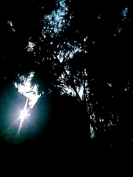 Snapshot of Lisa_pusy chatting on 22, 10, 2025 Lisa pusy online show from 22, 10, 2025