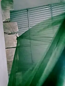 Snapshot of Lisa_pusy chatting on 14, 11, 2025 Lisa pusy online show from 14, 11, 2025