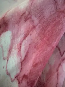 Monika thakurr online show from 5, 4, 2026