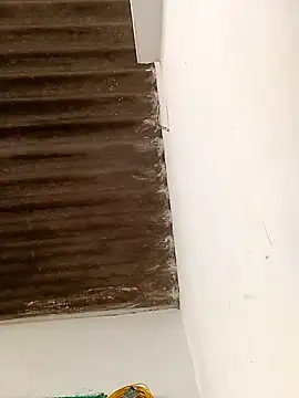 Snapshot of Sapna9685 chatting on 15, 11, 2025 Sapna9685 online show from 15, 11, 2025