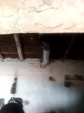 Snapshot of Sheema_tyagi chatting on 21, 10, 2025 Sheema tyagi online show from 21, 10, 2025