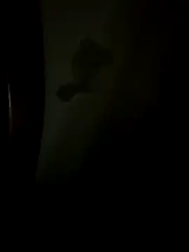 Snapshot of Bruno18cmmmmkk chatting on 19, 12, 2025 Bruno18cmmmmkk online show from 19, 12, 2025