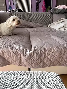 Snapshot of bananasex204 chatting on 25, 10, 2025 bananasex204 online show from 25, 10, 2025