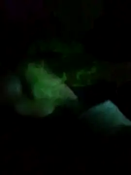 gostoso delas 2 online show from 30, 10, 2025