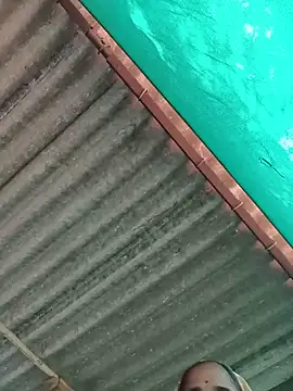 Hot-honi online show from 12, 11, 2025