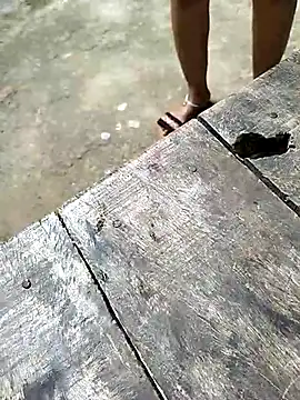 Snapshot of sexy__girls98 chatting on 3, 12, 2025 sexy girls98 online show from 3, 12, 2025