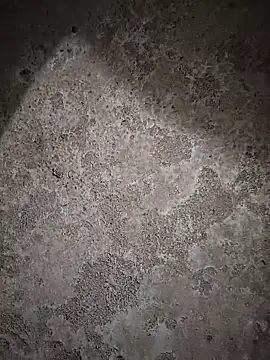 Snapshot of sexy__girls98 chatting on 6, 2, 2026 sexy girls98 online show from 6, 2, 2026