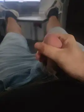 stunning stallion online show from 16, 9, 2025