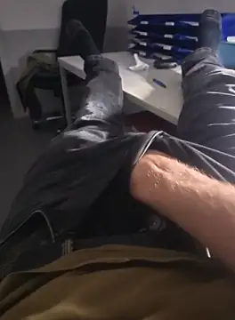 stunning stallion online show from 5, 10, 2025