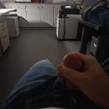 stunning stallion online show from 17, 11, 2025