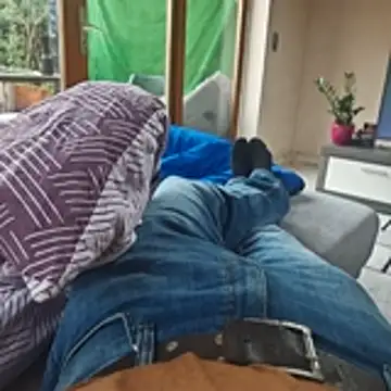 stunning stallion online show from 1, 12, 2025