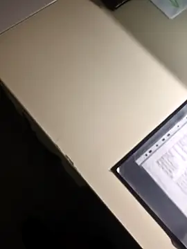 stunning stallion online show from 2, 2, 2026