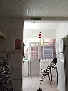 dinho carioca online show from 13, 2, 2026