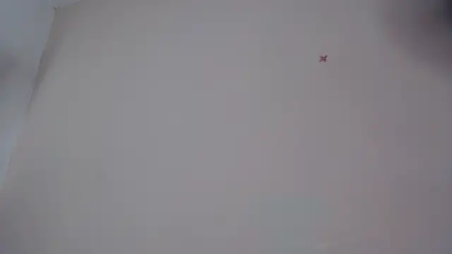 akisha lims26 online show from 4, 10, 2025