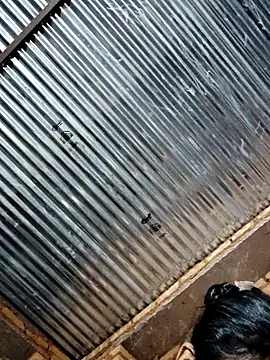 Pooja750 online show from 11, 3, 2026