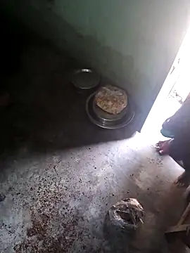 parmila203 online show from 4, 3, 2026