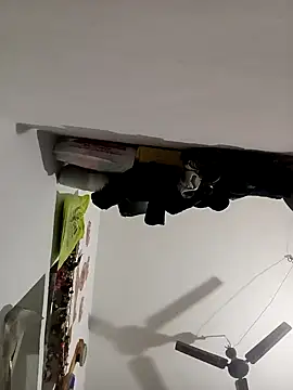 Snapshot of Payal950 chatting on 8, 11, 2025 Payal950 online show from 8, 11, 2025