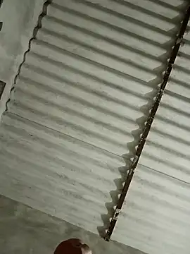 Snapshot of Payal950 chatting on 13, 11, 2025 Payal950 online show from 13, 11, 2025