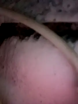 Snapshot of Payal950 chatting on 2, 12, 2025 Payal950 online show from 2, 12, 2025