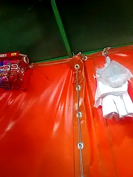 Sol Sunny online show from 7, 3, 2026