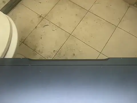 LustyDuoSecrets online show from 3, 11, 2025