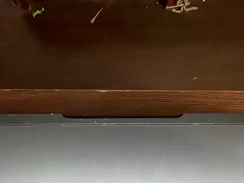 LustyDuoSecrets online show from 21, 4, 2026