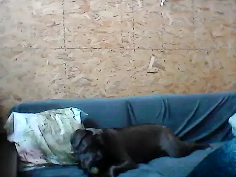 Milana38 online show from 16, 1, 2026