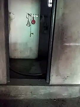 hong-sex online show from 28, 11, 2025