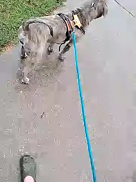 Unknownstepbrother online show from 5, 10, 2025