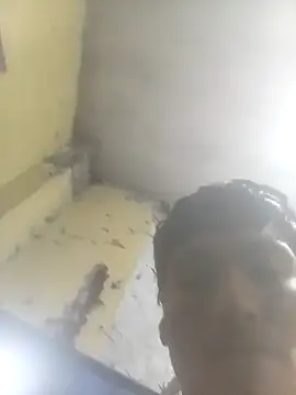 Bebicho14 online show from 20, 11, 2025