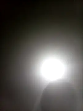 Bebicho14 online show from 5, 4, 2026