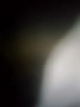 Rk3BULL online show from 26, 3, 2026