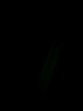 Snapshot of Marleymols chatting on 2, 12, 2025 Marleymols online show from 2, 12, 2025