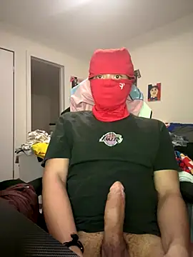 Snapshot of lionr0660 chatting on 4, 12, 2025 lionr0660 online show from 4, 12, 2025