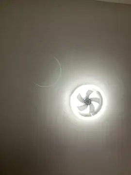 Snapshot of lionr0660 chatting on 25, 2, 2026 lionr0660 online show from 25, 2, 2026