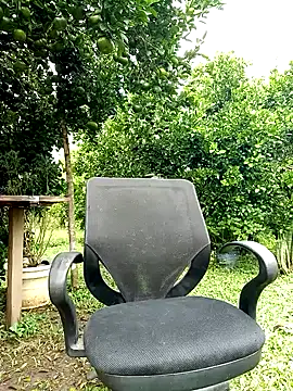 Snapshot of AlphaAlterX chatting on 12, 10, 2025 AlphaAlterX online show from 12, 10, 2025