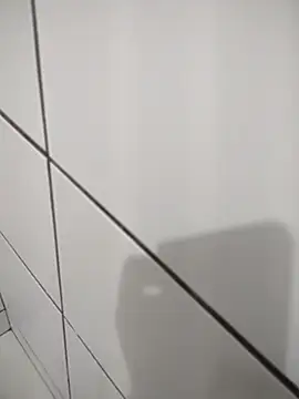 Snapshot of Novin23cms chatting on 14, 11, 2025 Novin23cms online show from 14, 11, 2025