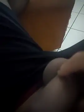 Snapshot of Novin23cms chatting on 14, 12, 2025 Novin23cms online show from 14, 12, 2025