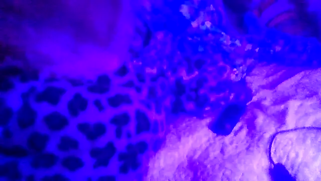 prettymaa online show from 19, 2, 2026