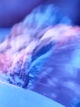 Snapshot of sertaonegro chatting on 14, 11, 2025 sertaonegro online show from 14, 11, 2025