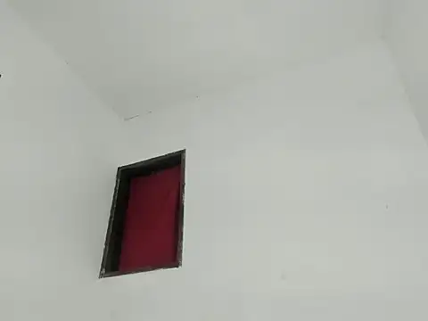 calliedemon  online show from 13, 3, 2026