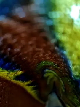 Snapshot of Chanti8096 chatting on 4, 12, 2025 Chanti8096 online show from 4, 12, 2025