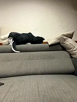 black xun online show from 16, 1, 2026